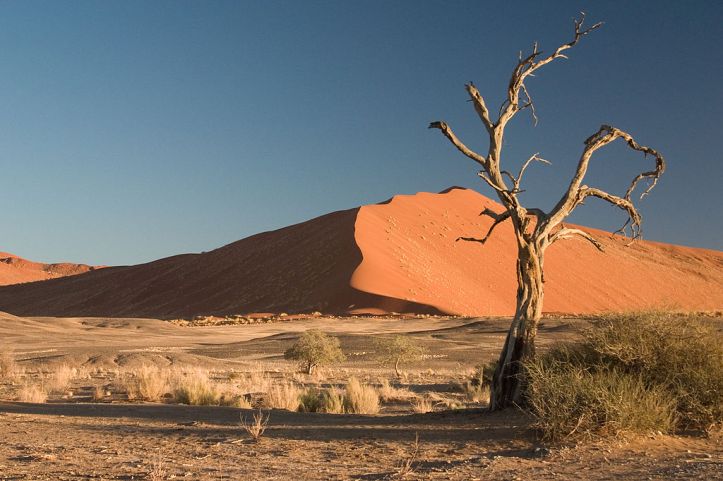 Namib-Desert-Namibia